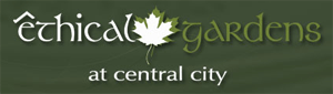 Ethical Gardens condos in Central Surrey are going to be available very soon at Days Inn with a collection of 63 environmentally sound residences.